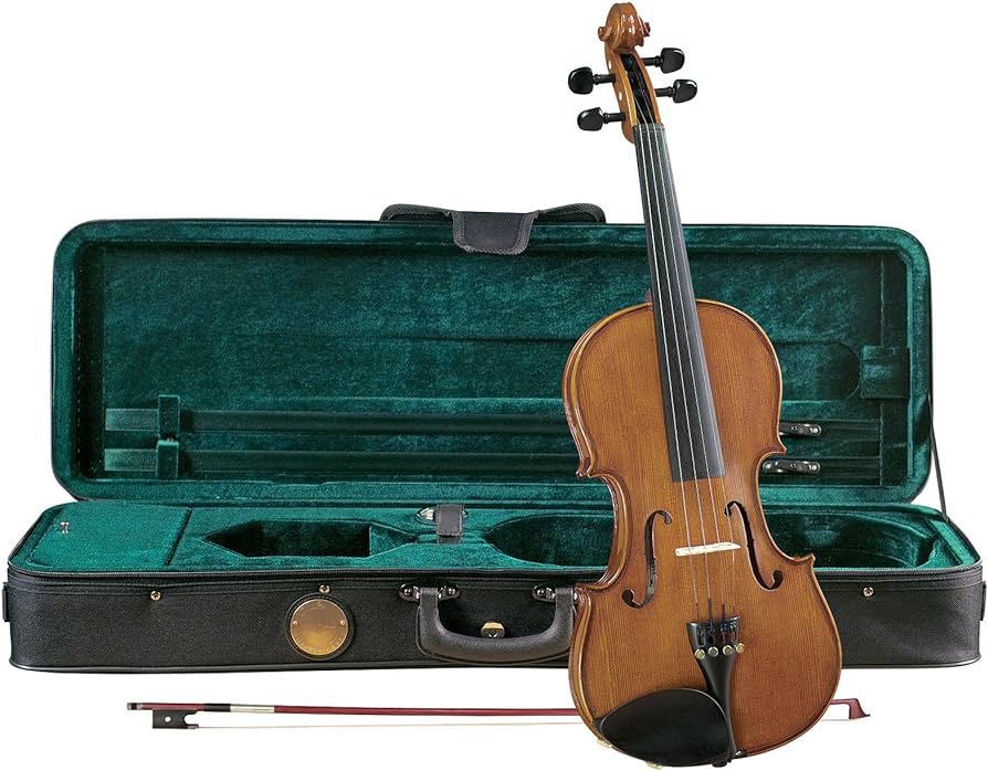 Cremona SV-175 Premier Student Violin - best violin for beginners