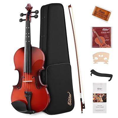 Eastar Violin 4/4 Full Size for Adults EVA-2 - best violin for beginners